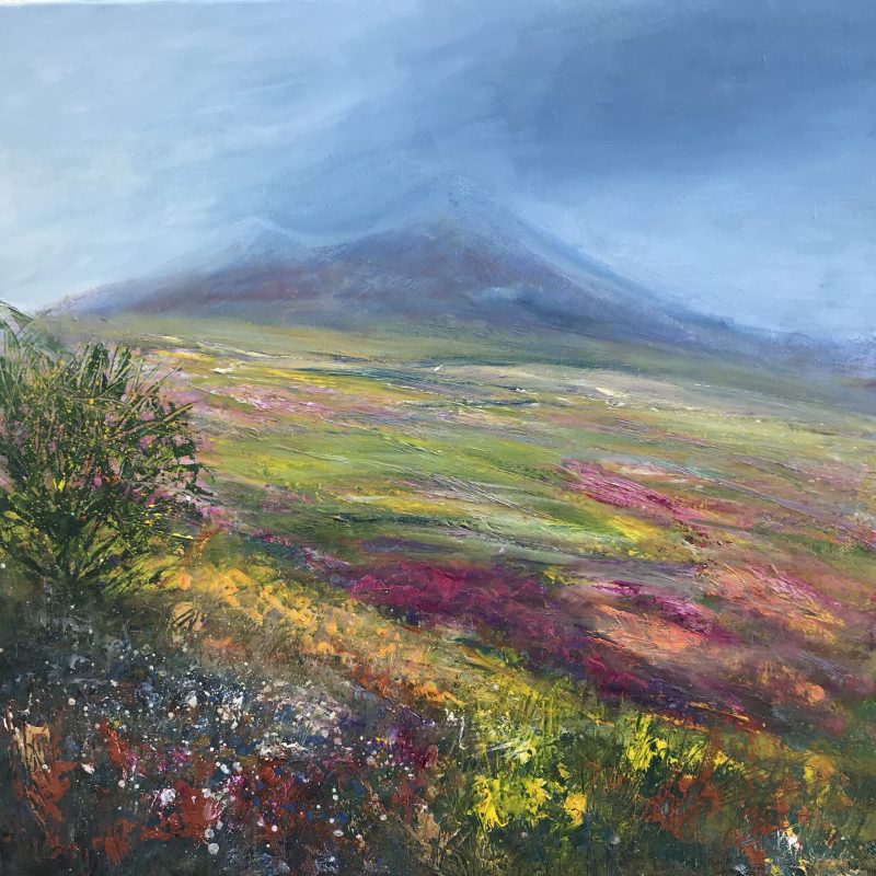 Dartmoor Colours (SOLD)