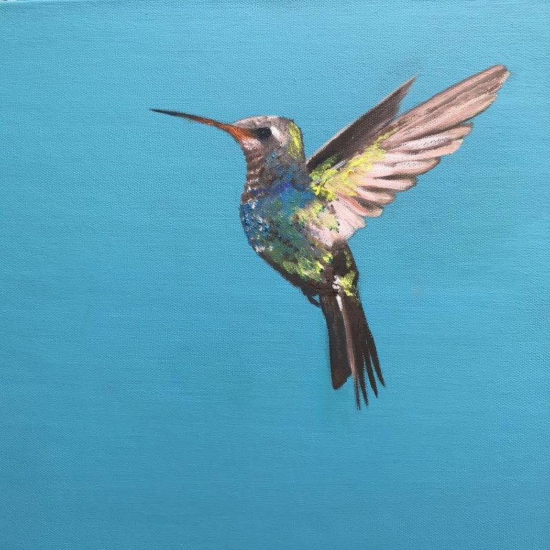 Hummingbird