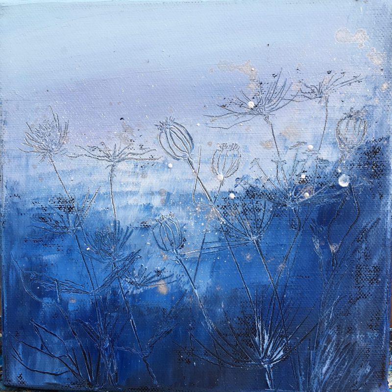Blue Poppy Seeds (SOLD)