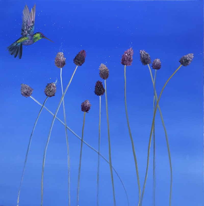 Allium