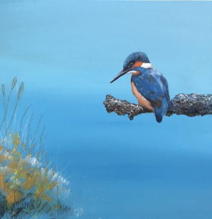 Kingfisher