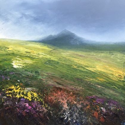 Dartmoor walk to Hare Tor (SOLD)