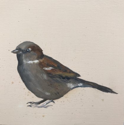 Sparrow