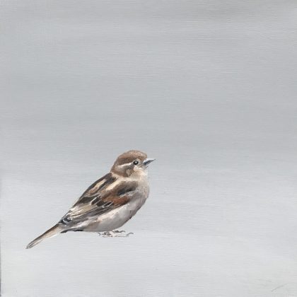 A Little Bird Told Me (Female Sparrow)