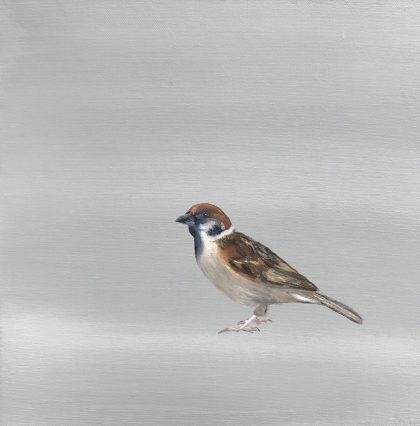 A Little Bird Told Me II (Male Sparrow) SOLD
