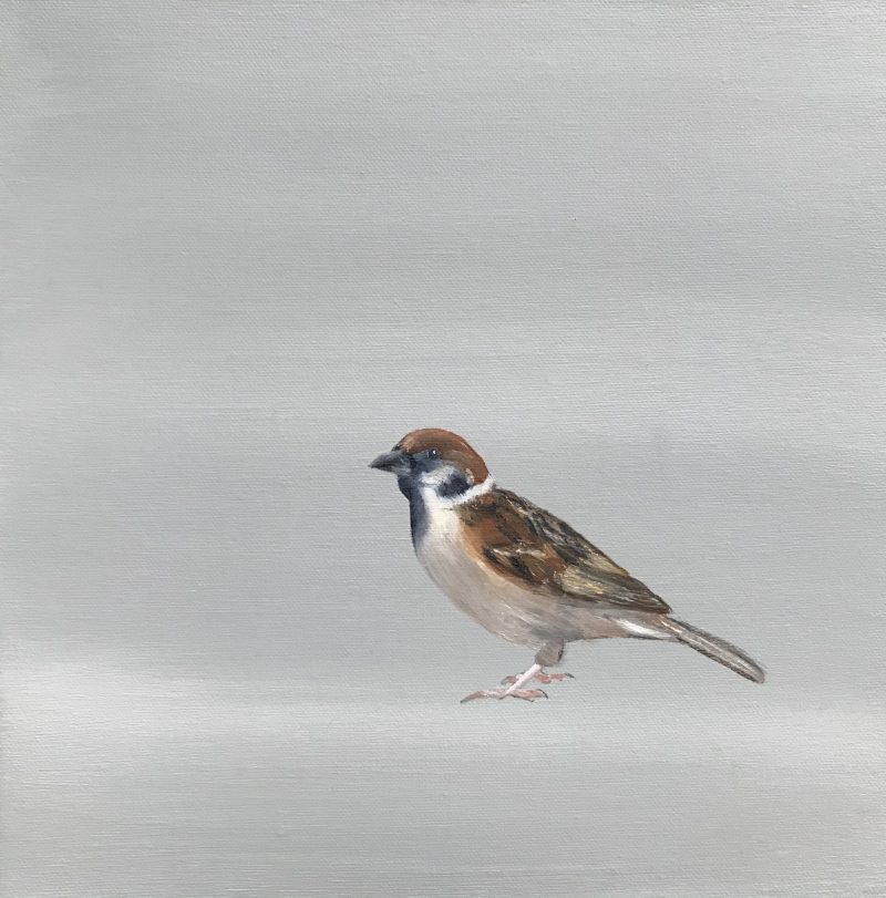 A Little Bird Told Me II (Male Sparrow) SOLD