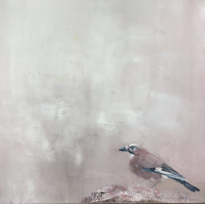 Jay (SOLD)