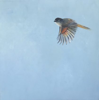 I Wish I Could Fly (Eastern Phoebe) SOLD