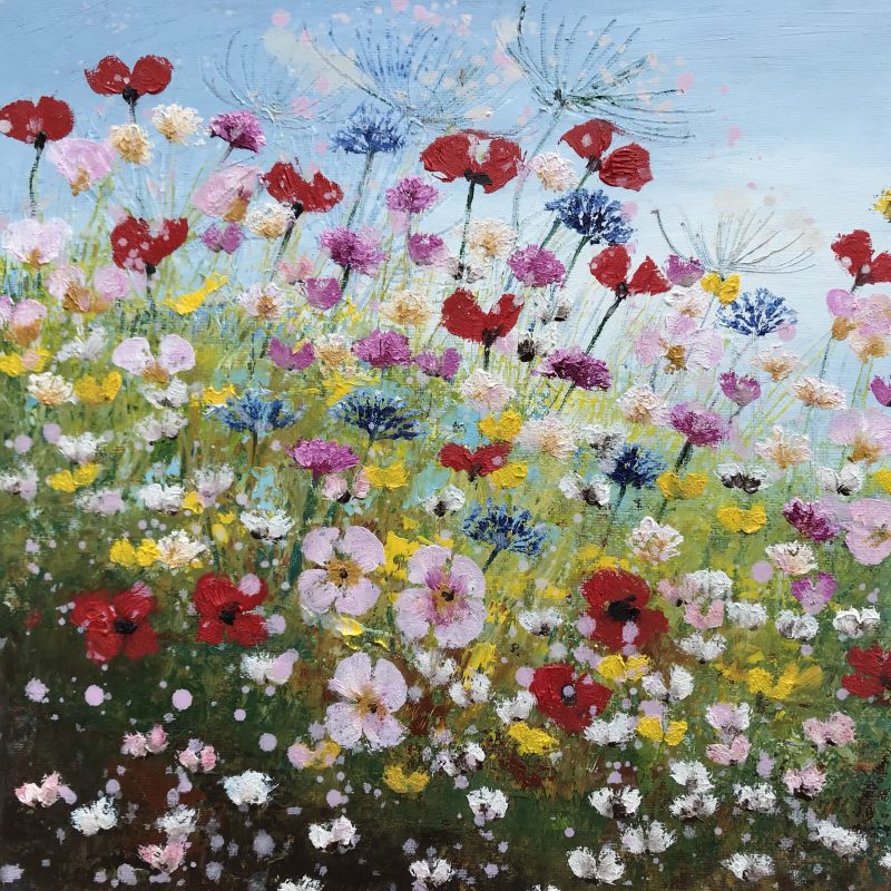 Wild Flower Meadow