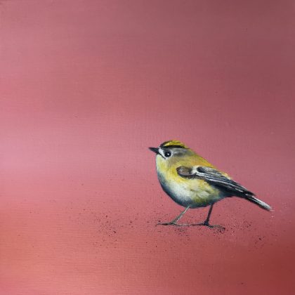 Goldcrest ~ on Rose Gold (SOLD)