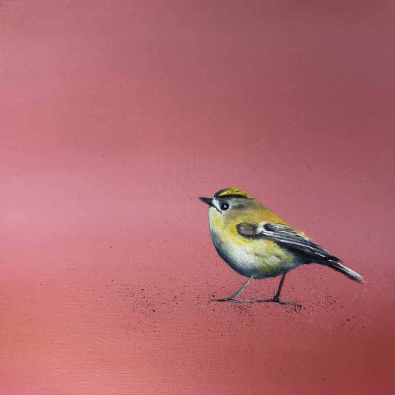 Goldcrest ~ on Rose Gold (SOLD)