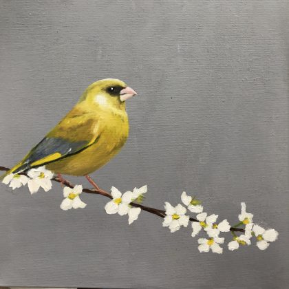 Greenfinch on Cherry Blossom II  SOLD