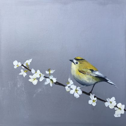 Gold Crest on Cherry Blossom  SOLD