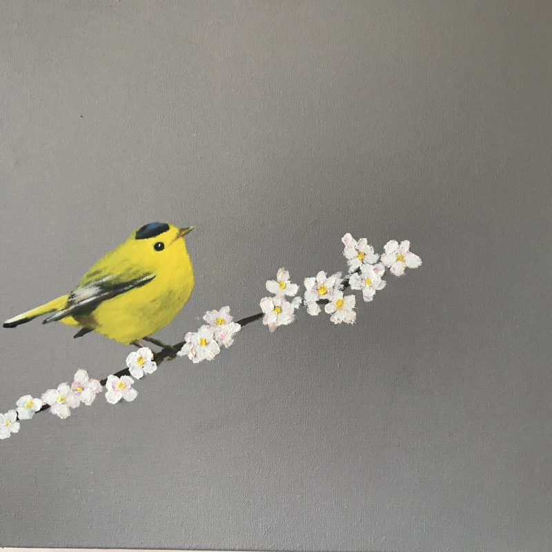 Warbler on Cherry Blossom ~ SOLD