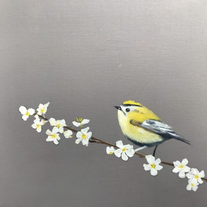Gold Crest on Cherry Blossom (SOLD)