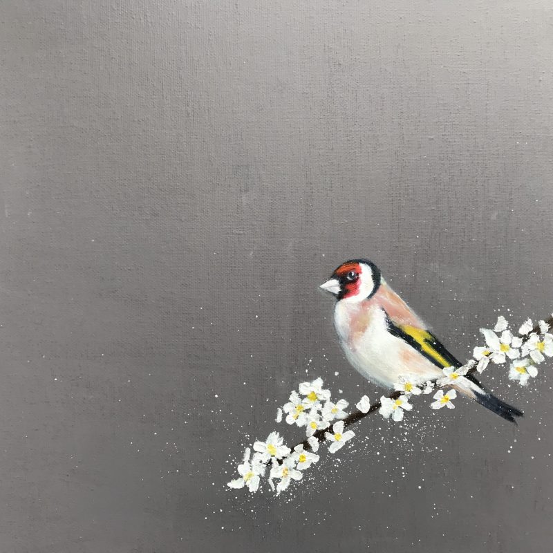 Goldfinch ~ on Cherry Blossom SOLD