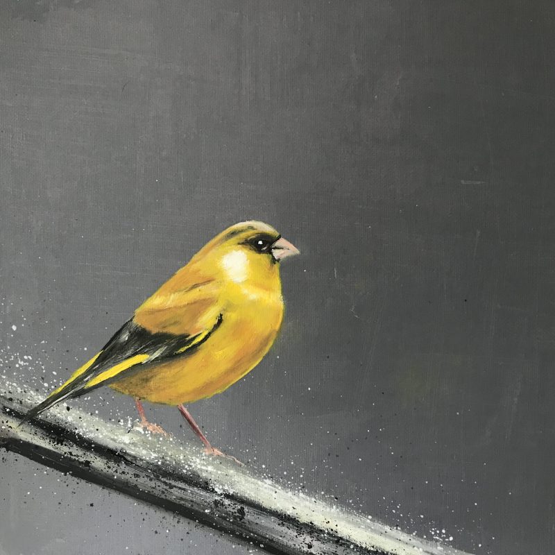 Greenfinch on Silver Branch (SOLD)