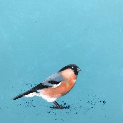 Bullfinch ~ on Duck Egg Blue (SOLD)