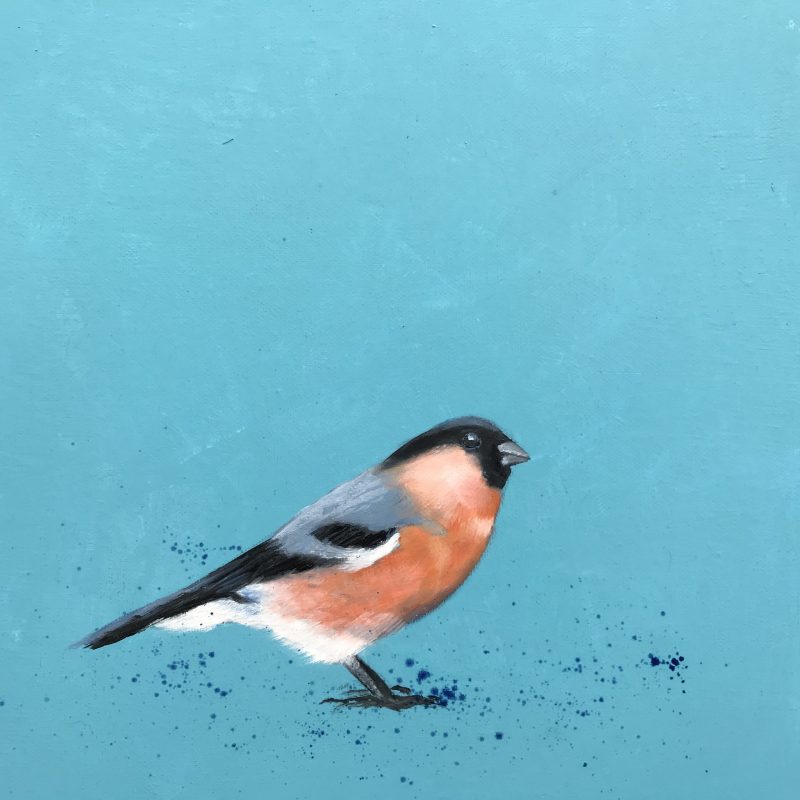 Bullfinch ~ on Duck Egg Blue (SOLD)