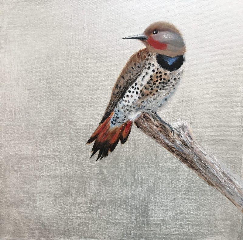 The Flicker Bird ~ on Silver (SOLD)