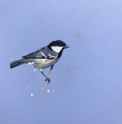 Coal Tit ~ on Powder Blue (SOLD)