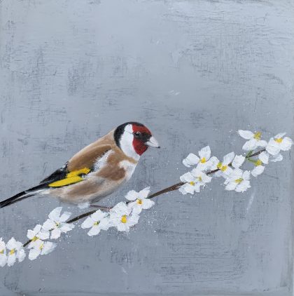 Goldfinch on Cherry Blossom (SOLD)