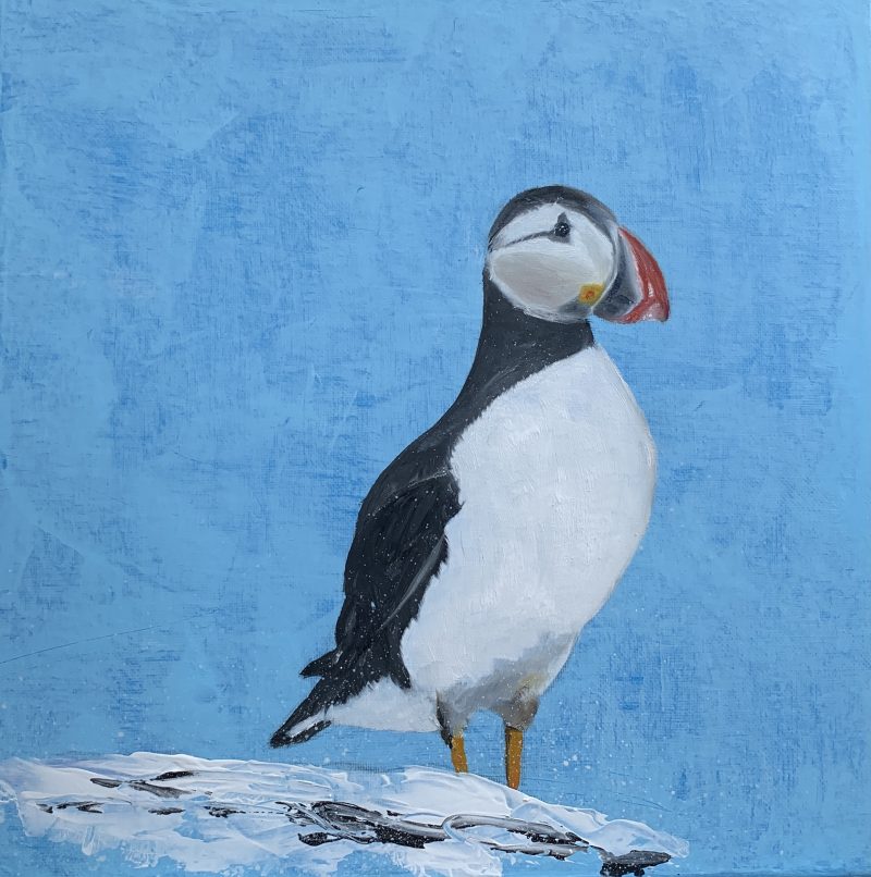 Puffin (SOLD)