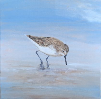 Young Sandpiper At The Beach (SOLD)