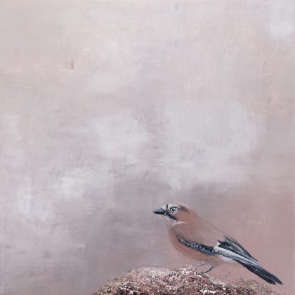 Jay