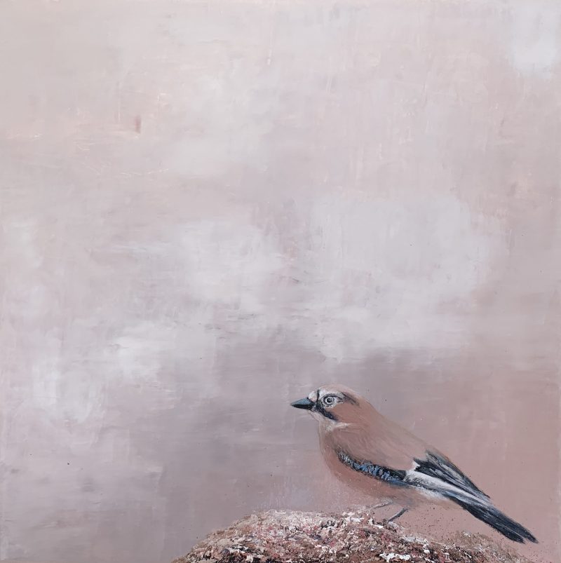 Jay