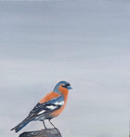 Chaffinch (SOLD)