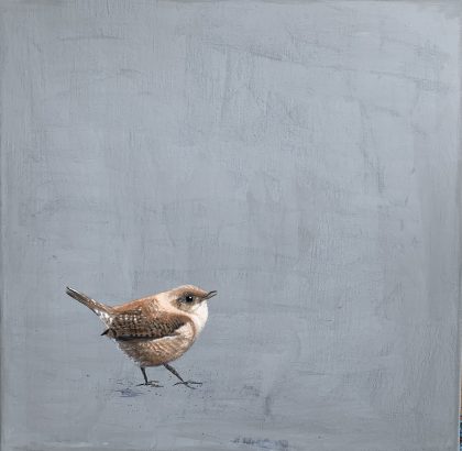 Wren (SOLD)
