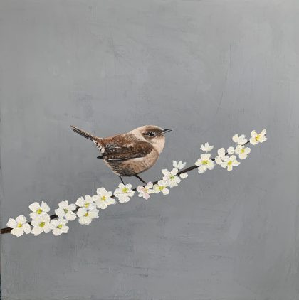 Wren on Cherry Blossom (SOLD)