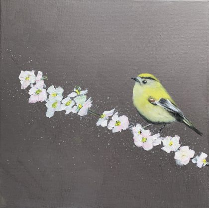 GoldCrest On Cherry Blossom