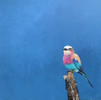 Lilac Breasted Roller ~ under an African Sky (SOLD)