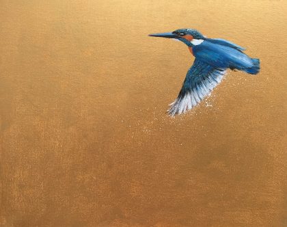 Kingfisher in flight ~ on Gold (SOLD)