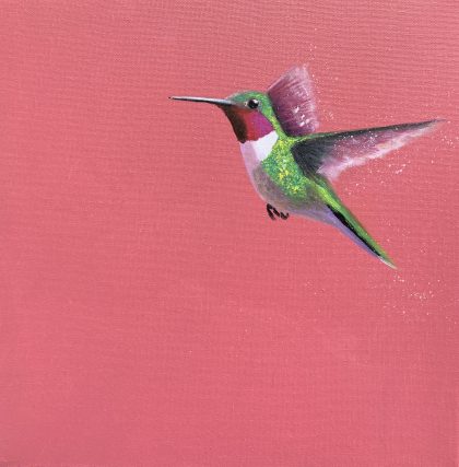 Anna's Hummingbird (SOLD)