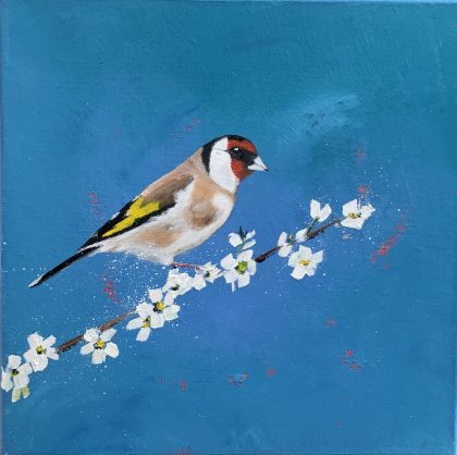 Goldfinch On Cherry Blossom (SOLD)