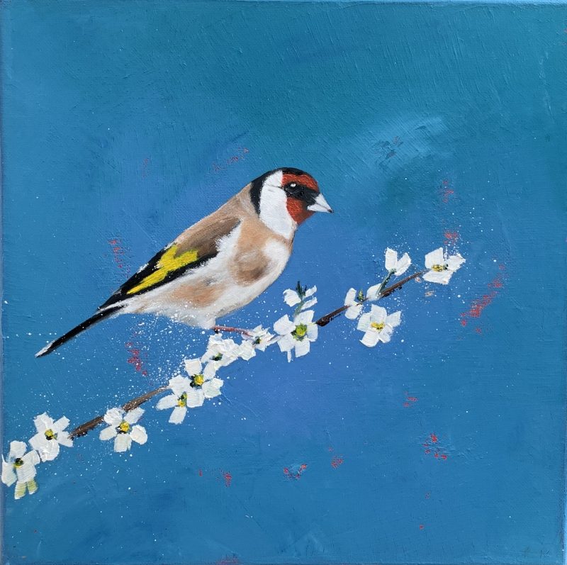 Goldfinch On Cherry Blossom (SOLD)