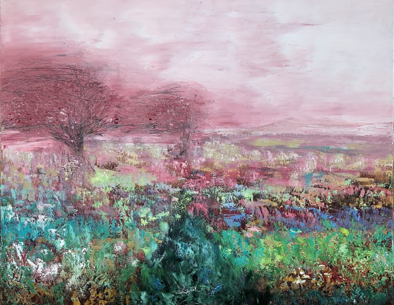 Wild Times ~ On Dartmoor