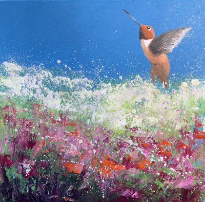 Rufous Hummingbird