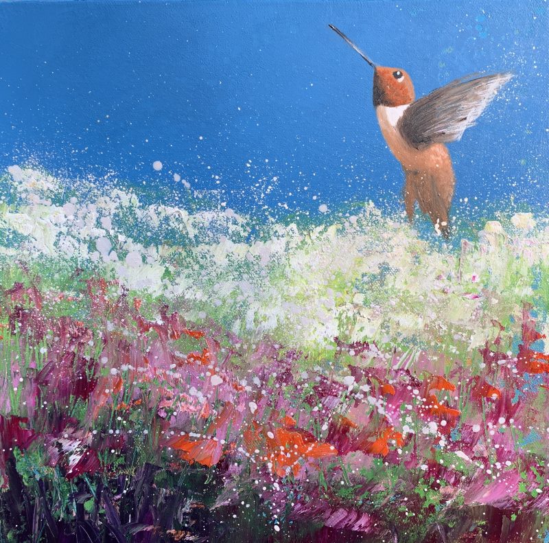 Rufous Hummingbird