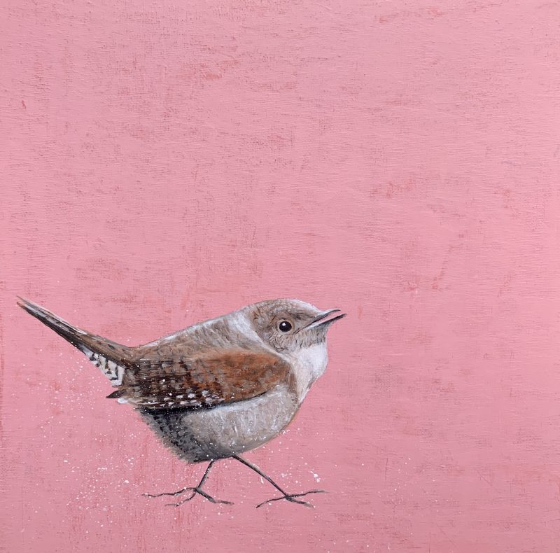 Wild ~ Wren on Rose (SOLD)