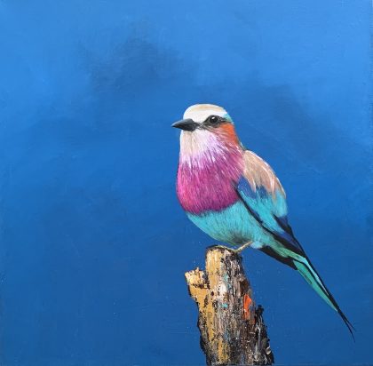 Lilac Breasted Roller (SOLD)