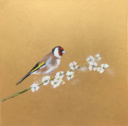 Goldfinch on Cherry Blossom (SOLD)