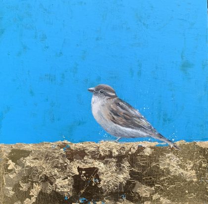 Female Sparrow