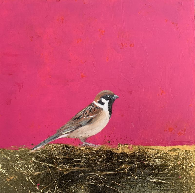 Male Sparrow