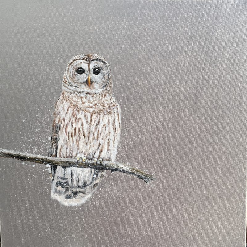 Tawny Owl on silver