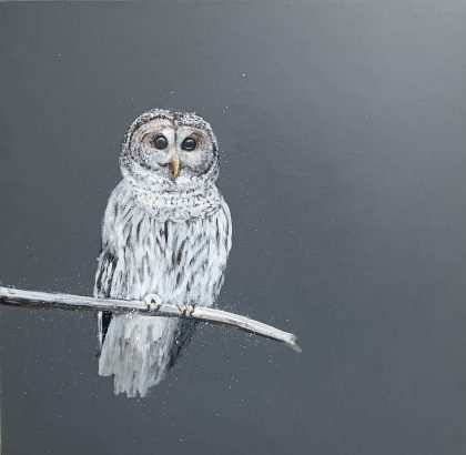 Tawny Owl at Night (SOLD)