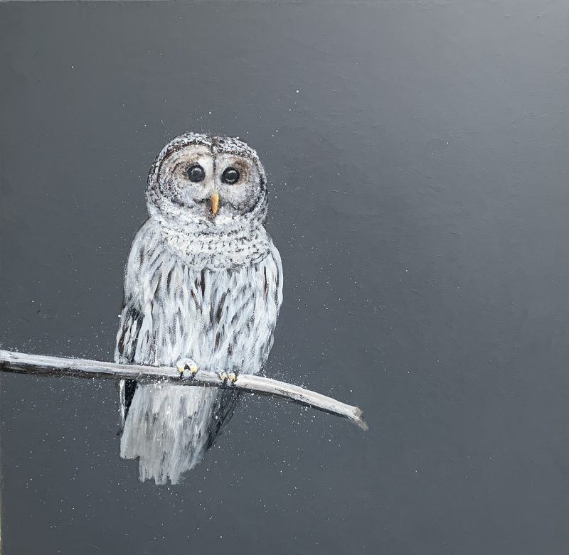 Tawny Owl at Night (SOLD)